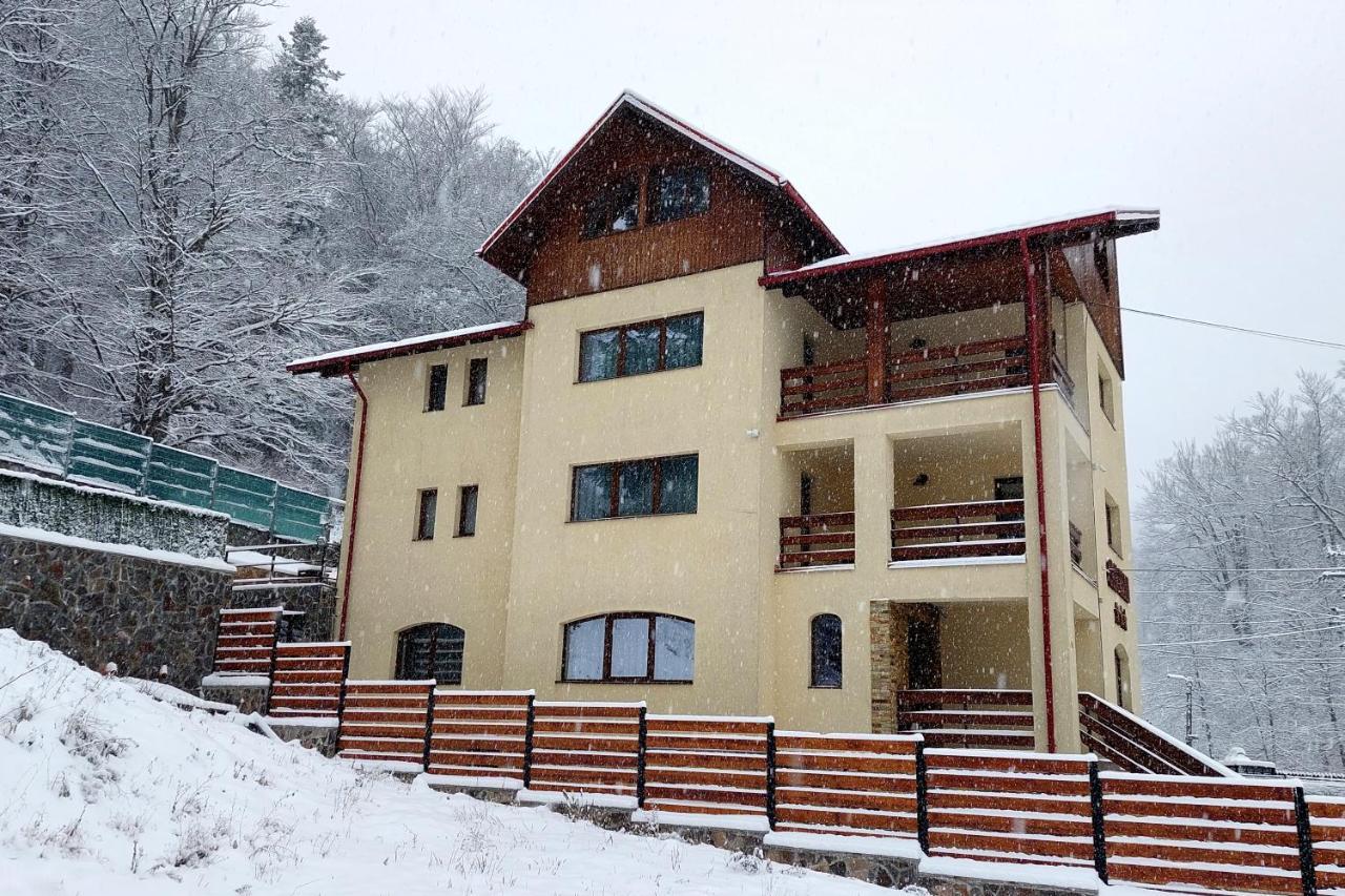 Casa Raisa Hotell Buşteni Eksteriør bilde